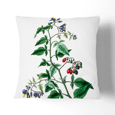 Square Throw Cushion