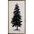 Lone Black Pine Tree-1572802531