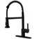 Pull Down Single Handle Kitchen Faucet with Accessories