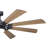 Rogers 68'' Ceiling Fan with LED Lights-2052420747
