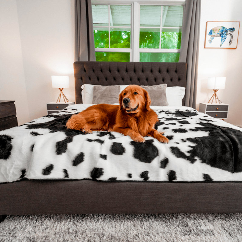 King Size Black and White Faux Fur Pet Blanket