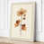 Cream Border