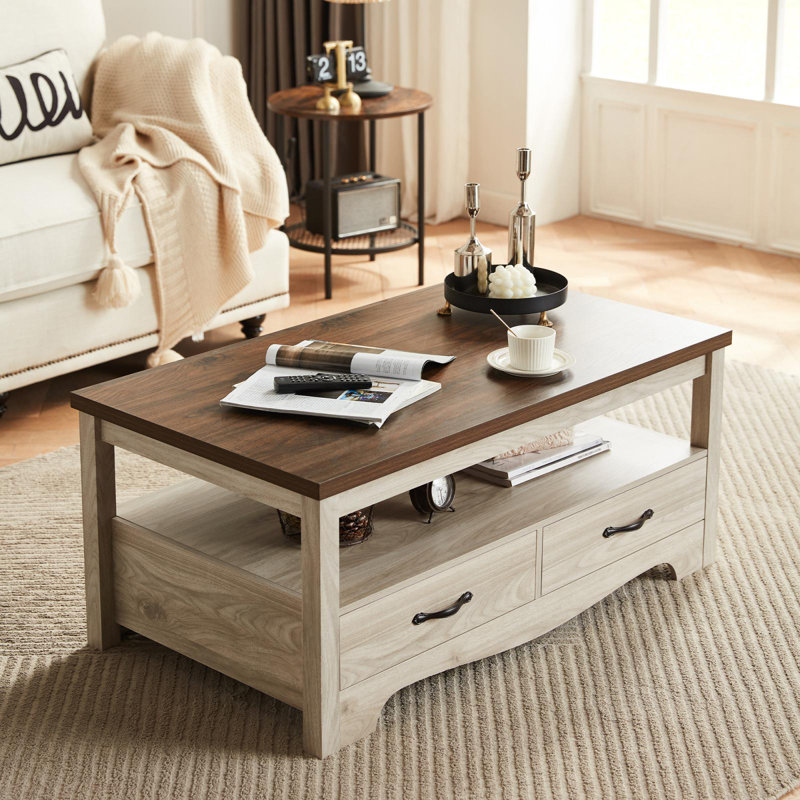 Table basse avec rangement Callison, Brun / Blanc