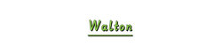 Walton logo