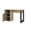 Laylah 120cm Writing Desk