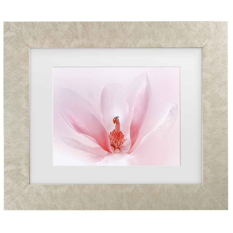 Bolog Summer2016 Ladybug Matted Framed Art, 14.5" H x 17.5" W