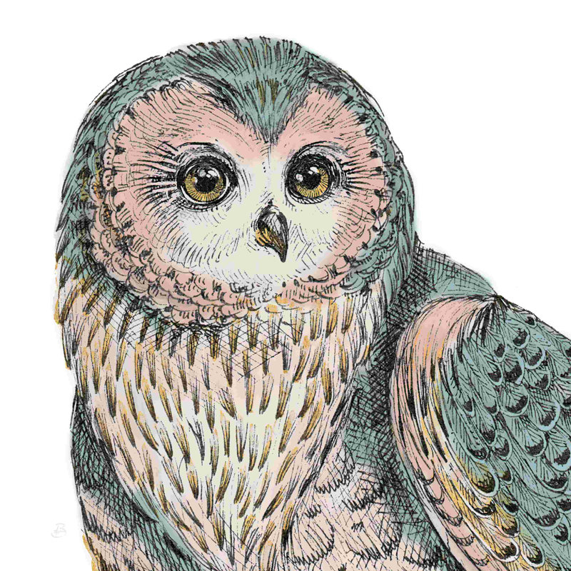 «Beautiful Owls IV» par Daphne Brissonnet - peinture sur toile tendue, H 30 po x l 30 po