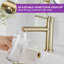  Lustre  Single-Hole Single-handle Bathroom Faucet with Drain Assembly-81246862