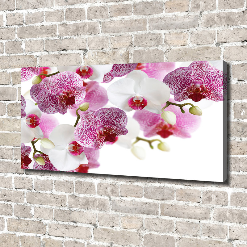 Orchid - Wrapped Canvas Print
