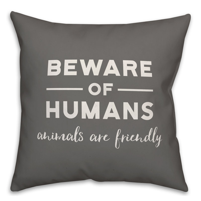 Throw Pillow