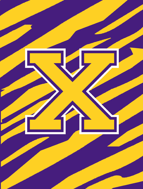 Tissu de polyester à 2 côtés 40 x 28 po tiger rayures initial drapeau maison, X, Petit