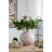 Sand And Cement Nautilus Shell Planter With Textured Beige Finish-118356243