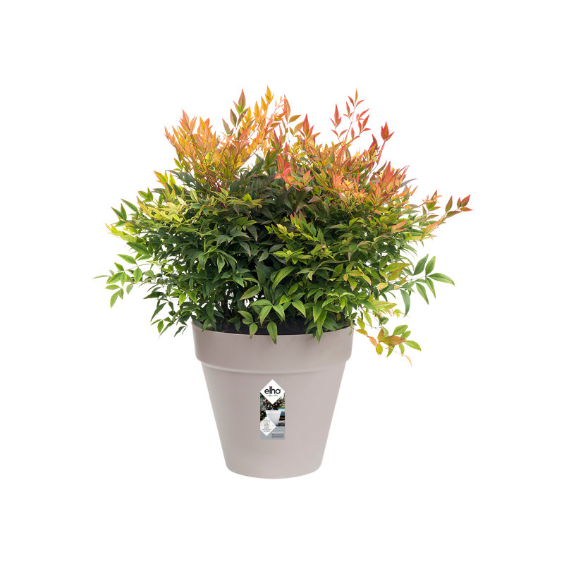 Pot Planter, 35.2cm H x 39cm W x 39cm D, Warm Grey