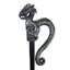 Bâton de marche Dragonsthorne
