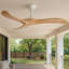 Ventilateur intelligent 48 "Hinkley Fan Swell-122624037-122624038-122624042