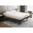 Cruise Adjustable Base-1000322316