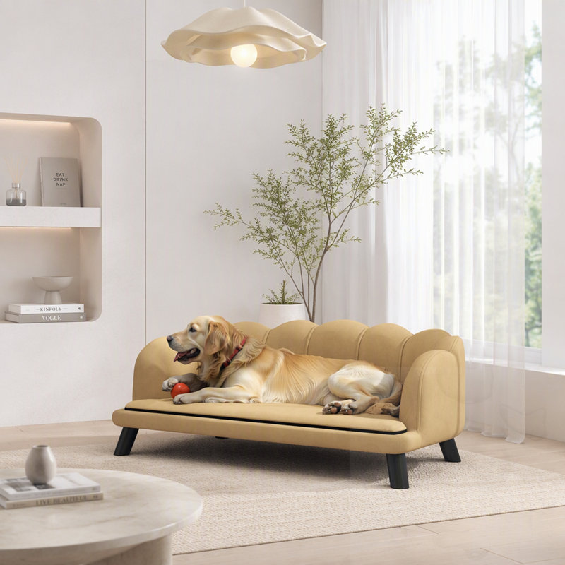 Dog Bed with Cushion