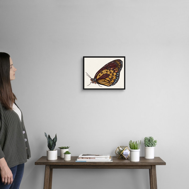 «Papillon 5» par Studio Stellar Design - reproduction d'art sur toile, H 13 po x l 16 po x P 2 po, Toile avec cadre noir