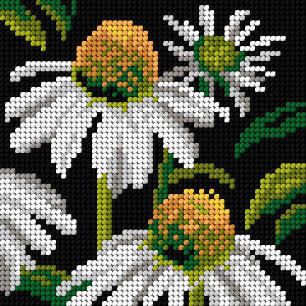 Toile Orchidea