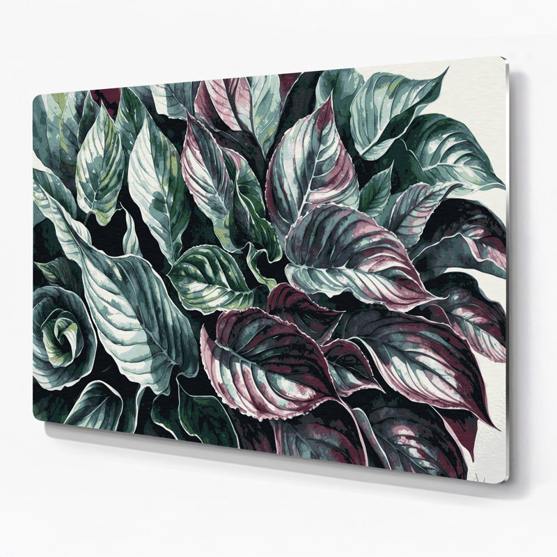 Botanique, bégonia Rex, art mural en métal noir