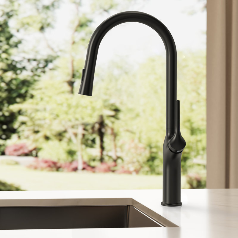 Dual-Function Single-Handle Pull-Down Kitchen Faucet, Matte Black