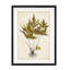 Fern Botanical II - reproduction sur toile-2061005399-2061005264
