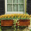 24 pièces Plantes artificielles d'extérieur Faux plantes d'extérieur Arbustes artificiels Faux buissons pour plantes d'extérieur Plastique résistant aux rayons UV