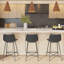 Tabouret de comptoir 24 po Paxton-1619793339