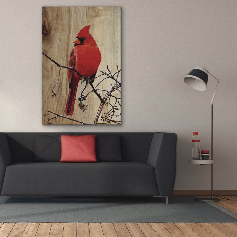 Toile épique Graffiti «Regal Cardinal» par Jim Brune, 40 po x 60 po, H 60 po x l 40 po
