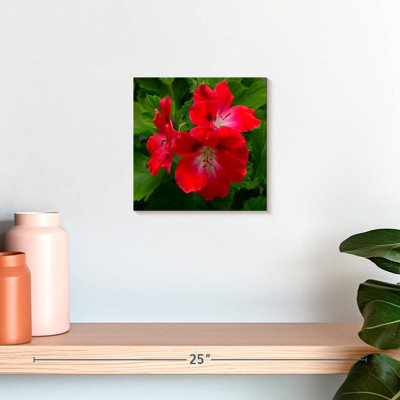 Harnek Red Hibiscus Flowers