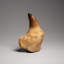 Genuine Mosasaur Tooth With Root From Morocco (135.2 Grams)