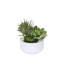 Faux Succulent-850935515