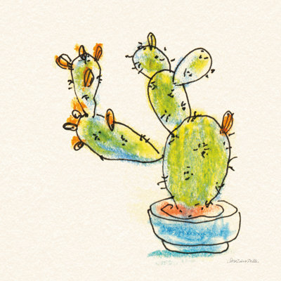 " Cacti Garden V "