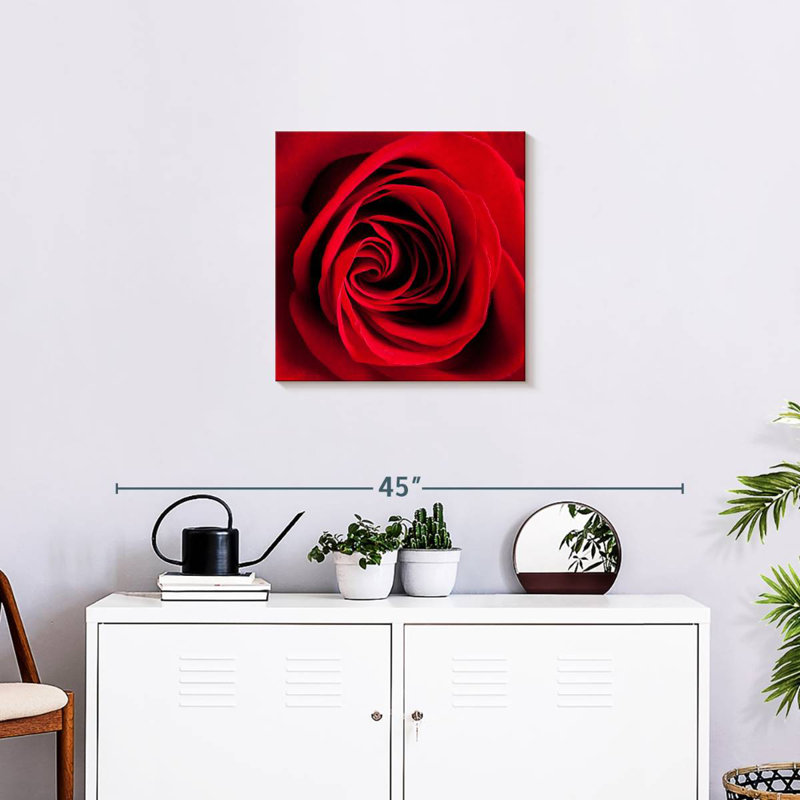 Rose rouge Harnek en fleurs, H 20 po x l 20 po