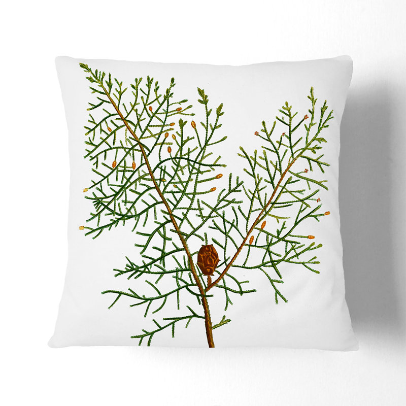 Square Throw Cushion, 40cm H x 40cm W x 15cm D