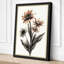 Study Botanical - Wrapped Canvas-1535967685-1535967692
