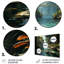 Ensemble de décoration murale Dominicains Tropical Oasis II - Paysages