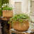 Whaleyville Pot Planter-827271329