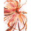 Full Blossom III Painting by Sara Brown-26728583-26728584