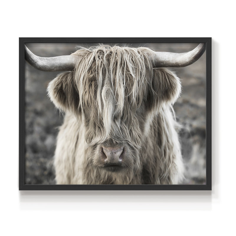 Highland Skye -Framed Print - Restickable, 22" H x 28" W, Black