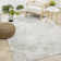 Emory Abstract Indoor Rug