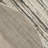 Corel Indoor Rug-1987305588