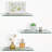 Jernej 3 Piece Glass Floating Shelf