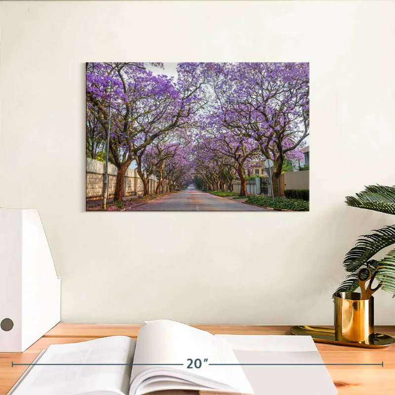 Sirci Saxonwold Jacaranda Lane, H 8 po x l 12 po