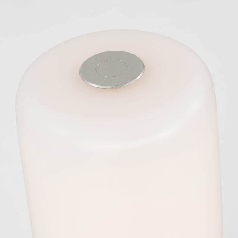 5.5" 250 Lumen R41 Module in Nickel with White Glass, 4" H x 2" W x 2" D