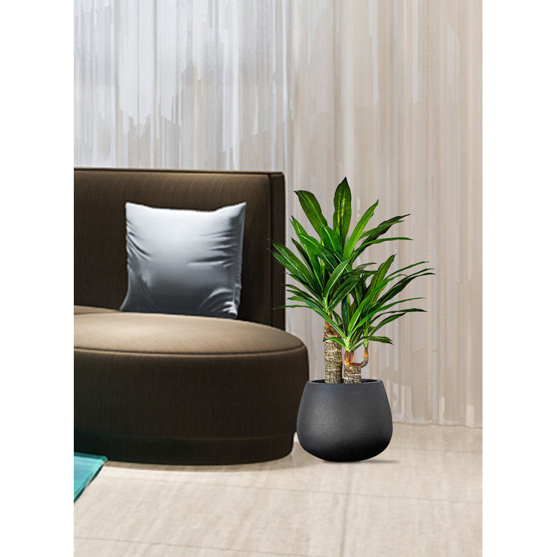 Dracaena plante artificielle en pot 35 po Dracaena