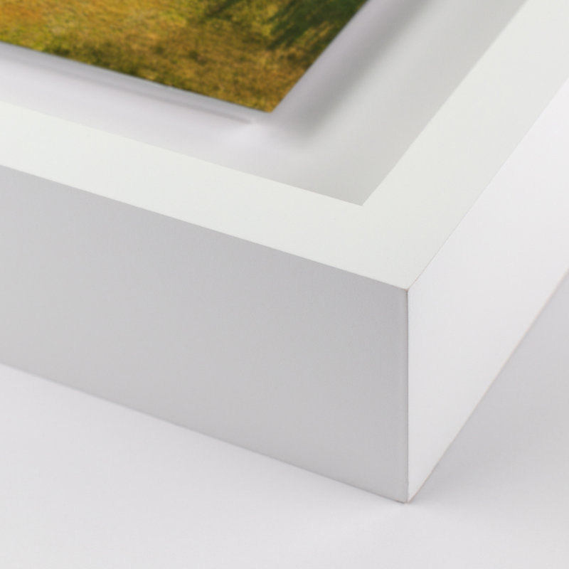 Fields IV Print by Jakob Wagner, 29" H x 40" W x 2.5" D, White