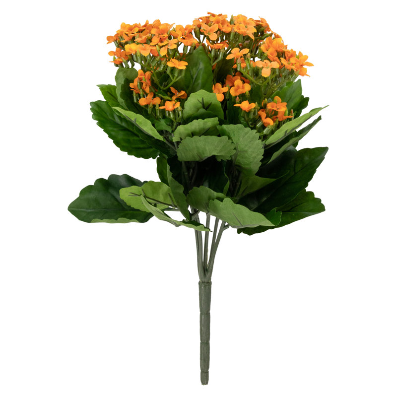 Tige d'orchidée