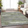 Machine Washable Indoor/Outdoor Cinead ACN1665 Olive Rug