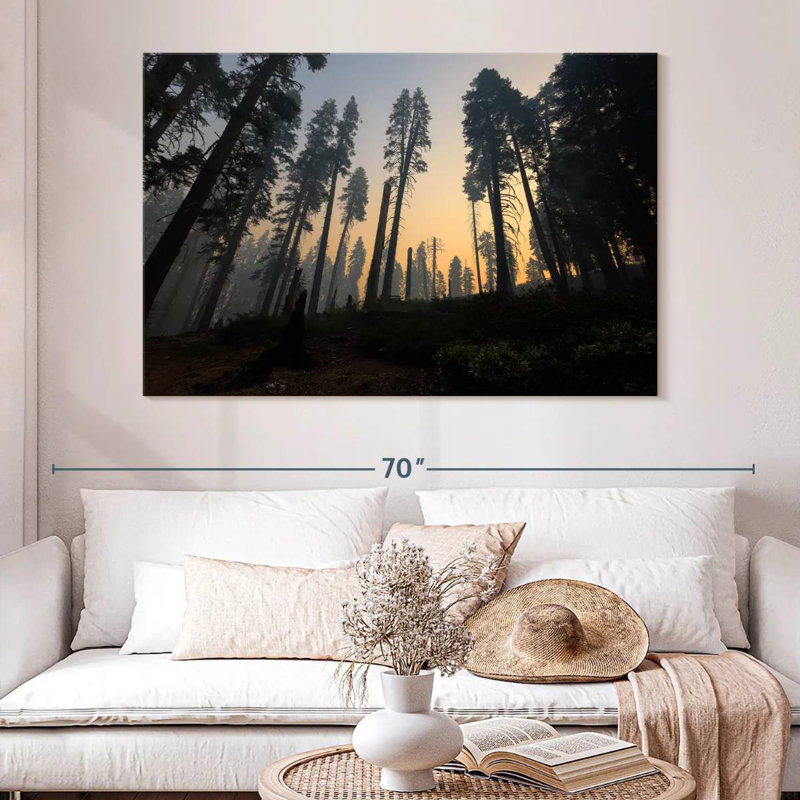 Harnek Redwoods Forest Fire
